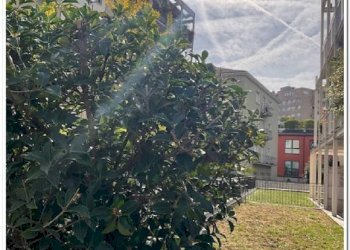 Terreno - Quadrilocale via San Gerolamo Miani, Bergamo - foto 42