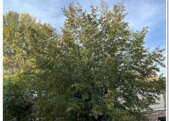 Zona - Quadrilocale via San Gerolamo Miani, Bergamo - foto 43