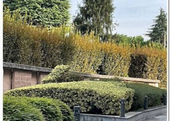 Altro - Quadrilocale via San Gerolamo Miani, Bergamo - foto 48