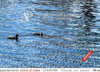 Zona - Trilocale Chiavari - foto 47