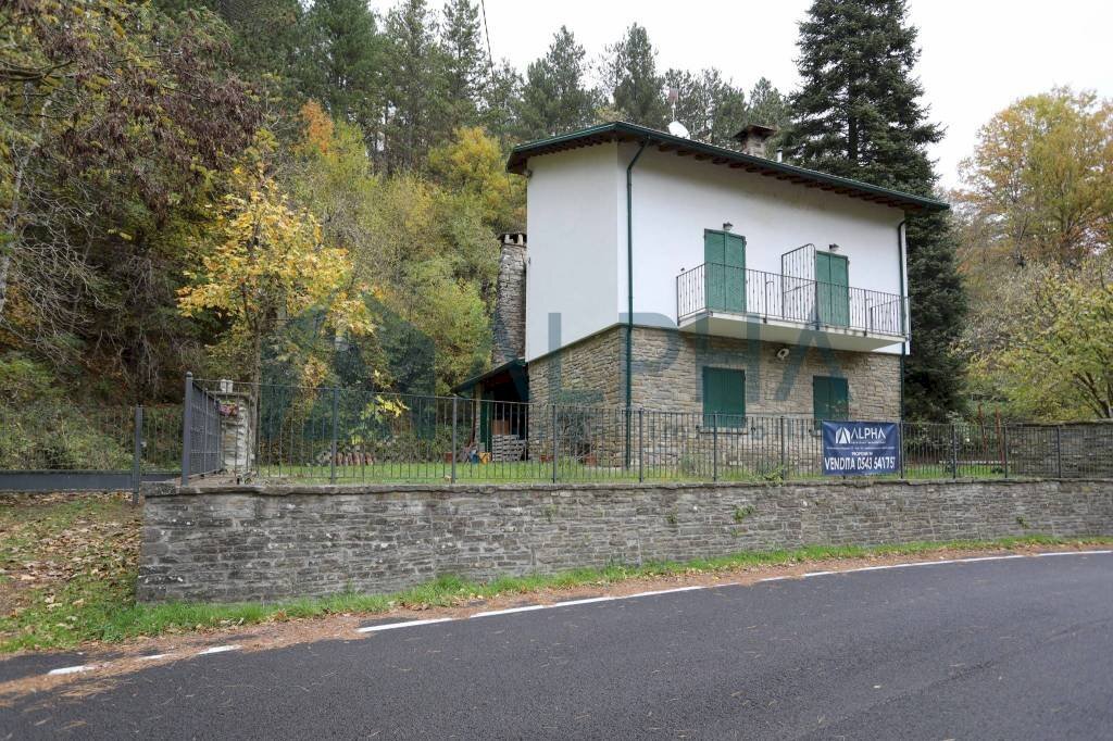 Facciata - Villa Località Castel dell'Alpe, Premilcuore - foto 2