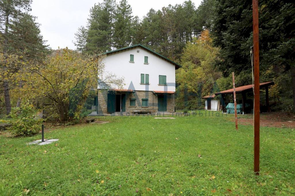 Giardino - Villa Località Castel dell'Alpe, Premilcuore - foto 3