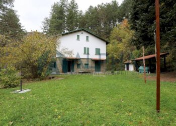 Giardino - Villa Località Castel dell'Alpe, Premilcuore - photo 3