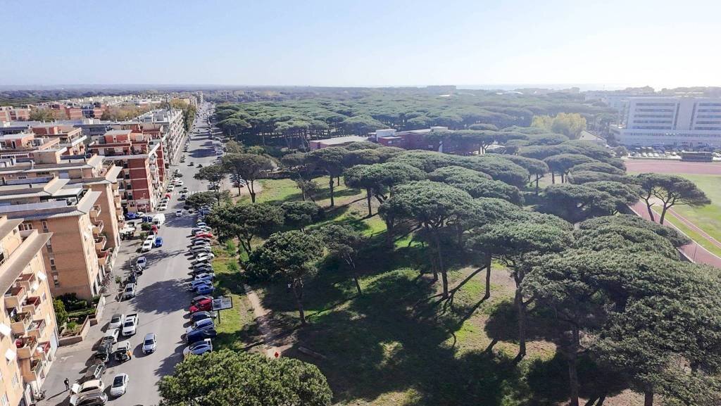 Vista - Trilocale via Mar Rosso, Roma (zona Lido di Ostia) - foto 2