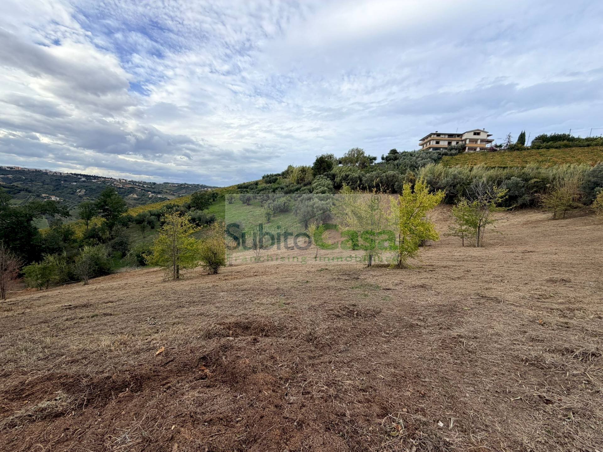 Foto 1 - Agricultural land Bucchianico - photo 1