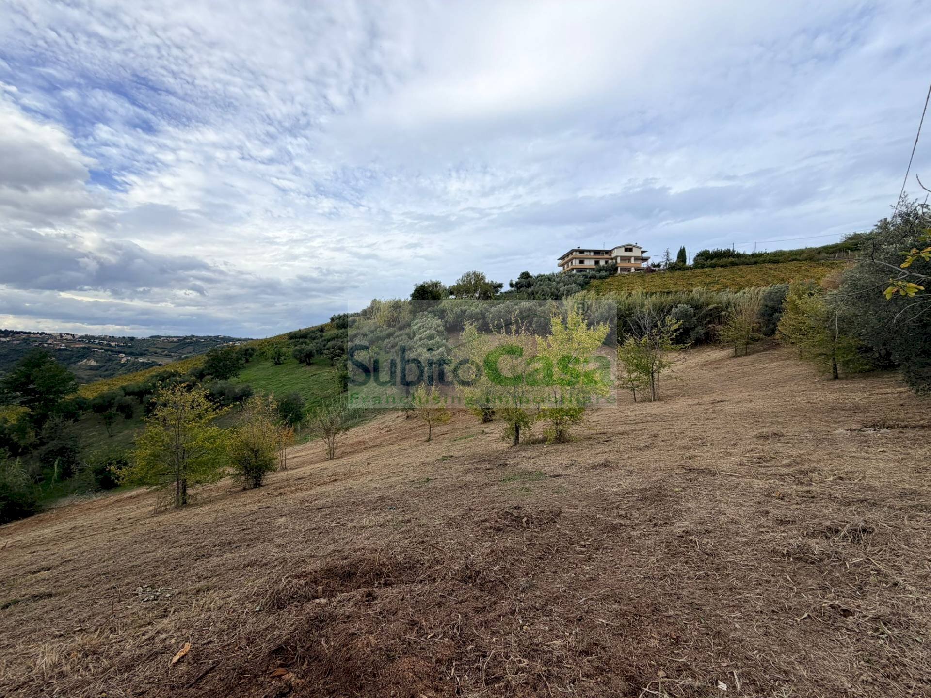 Foto 2 - Agricultural land Bucchianico - photo 2