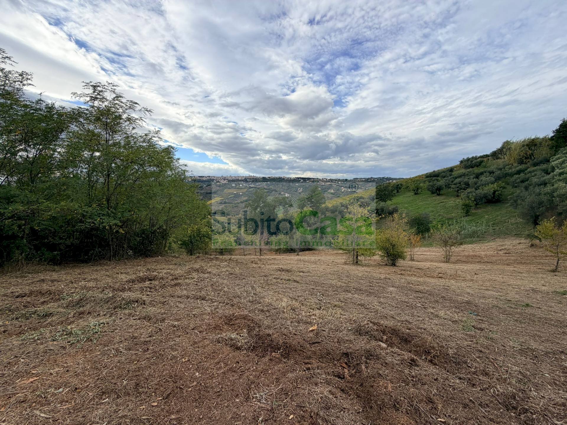 Foto 3 - Agricultural land Bucchianico - photo 3