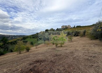 Foto 2 - Agricultural land Bucchianico - photo 2