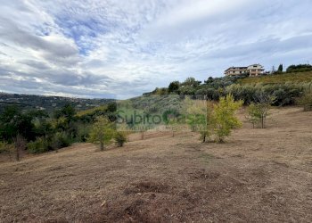 Foto 4 - Agricultural land Bucchianico - photo 4
