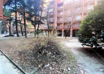 Commercial Activity Collegno - photo 15