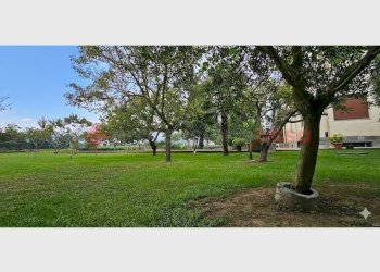 Apartment via vigone, 46, Cavour - photo 4