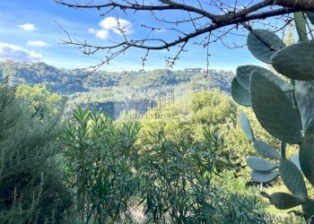 Foto 49 - Villa Castelnuovo di Porto - foto 49