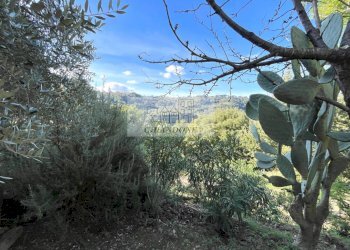 Foto 50 - Villa Castelnuovo di Porto - foto 50