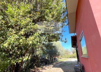 Foto 54 - Villa Castelnuovo di Porto - foto 54