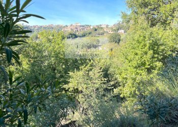 Foto 61 - Villa Castelnuovo di Porto - foto 61