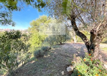 Foto 62 - Villa Castelnuovo di Porto - foto 62