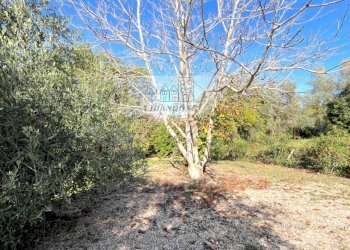 Foto 63 - Villa Castelnuovo di Porto - foto 63