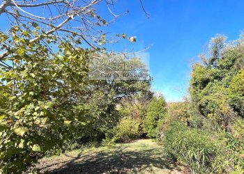 Foto 64 - Villa Castelnuovo di Porto - foto 64