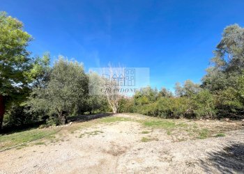 Foto 68 - Villa Castelnuovo di Porto - foto 68