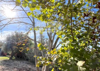 Foto 69 - Villa Castelnuovo di Porto - foto 69