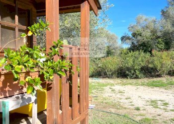 Foto 70 - Villa Castelnuovo di Porto - foto 70