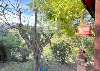 Foto 71 - Villa Castelnuovo di Porto - foto 71