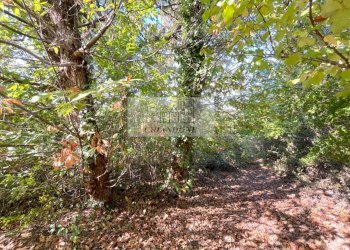 Foto 72 - Villa Castelnuovo di Porto - foto 72