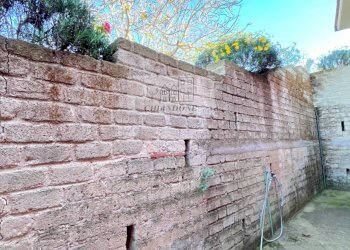 Foto 77 - Villa Castelnuovo di Porto - foto 77