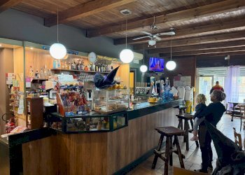 Foto 5 - Bar Tavola Calda - Fredda Velo Veronese - foto 5