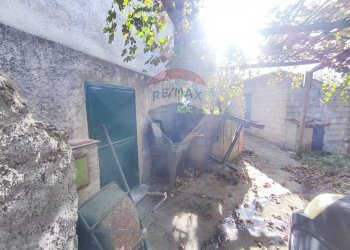 Giardino - Casa indipendente destre di ghiandaro
 
snc, San Marco Argentano - foto 68