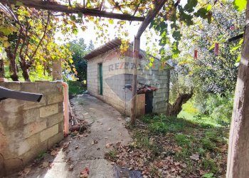Casa all\'aperto - Casa indipendente destre di ghiandaro
 
snc, San Marco Argentano - foto 69