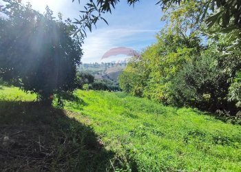 Giardino - Casa indipendente destre di ghiandaro
 
snc, San Marco Argentano - foto 70
