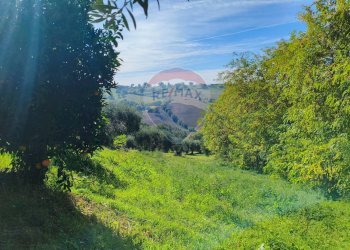 Non correlato - Casa indipendente destre di ghiandaro
 
snc, San Marco Argentano - foto 72