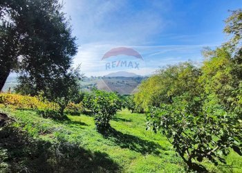 Giardino - Casa indipendente destre di ghiandaro
 
snc, San Marco Argentano - foto 73