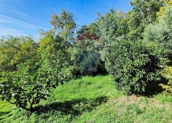 Giardino - Casa indipendente destre di ghiandaro
 
snc, San Marco Argentano - foto 74