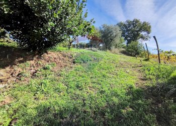 Giardino - Casa indipendente destre di ghiandaro
 
snc, San Marco Argentano - foto 75