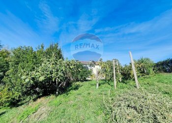 Giardino - Casa indipendente destre di ghiandaro
 
snc, San Marco Argentano - foto 76