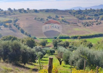 Vista delle montagne - Casa indipendente destre di ghiandaro
 
snc, San Marco Argentano - foto 79