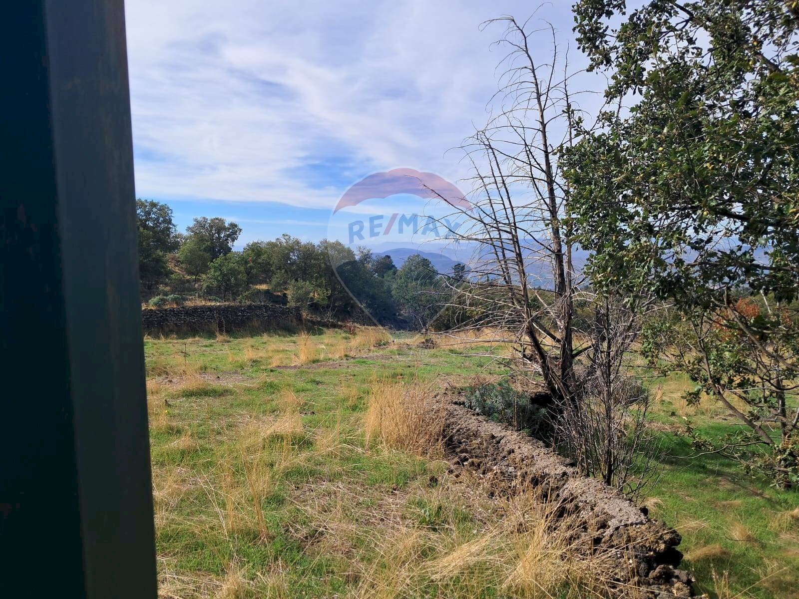Giardino - Agricultural land CONTRADA INCHIUSO, Santa Maria di Licodia - photo 2