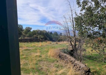 Giardino - Terreno agricolo CONTRADA INCHIUSO, Santa Maria di Licodia - foto 2