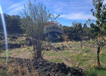 Giardino - Terreno agricolo CONTRADA INCHIUSO, Santa Maria di Licodia - foto 3