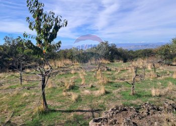 Vista delle montagne - Terreno agricolo CONTRADA INCHIUSO, Santa Maria di Licodia - foto 5