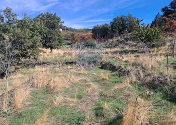 Vista delle montagne - Terreno agricolo CONTRADA INCHIUSO, Santa Maria di Licodia - foto 7