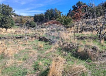 Vista delle montagne - Terreno agricolo CONTRADA INCHIUSO, Santa Maria di Licodia - foto 8