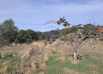Vista delle montagne - Terreno agricolo CONTRADA INCHIUSO, Santa Maria di Licodia - foto 11