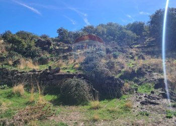Non correlato - Terreno agricolo CONTRADA INCHIUSO, Santa Maria di Licodia - foto 15