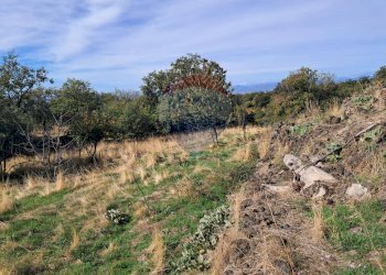 Giardino - Terreno agricolo CONTRADA INCHIUSO, Santa Maria di Licodia - foto 16