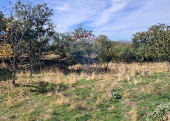 Giardino - Terreno agricolo CONTRADA INCHIUSO, Santa Maria di Licodia - foto 17