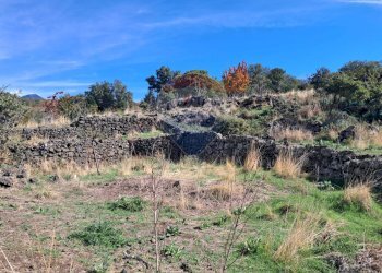 Vista delle montagne - Terreno agricolo CONTRADA INCHIUSO, Santa Maria di Licodia - foto 18