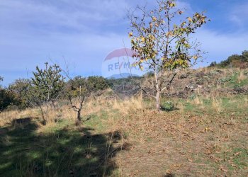 Vista delle montagne - Terreno agricolo CONTRADA INCHIUSO, Santa Maria di Licodia - foto 20